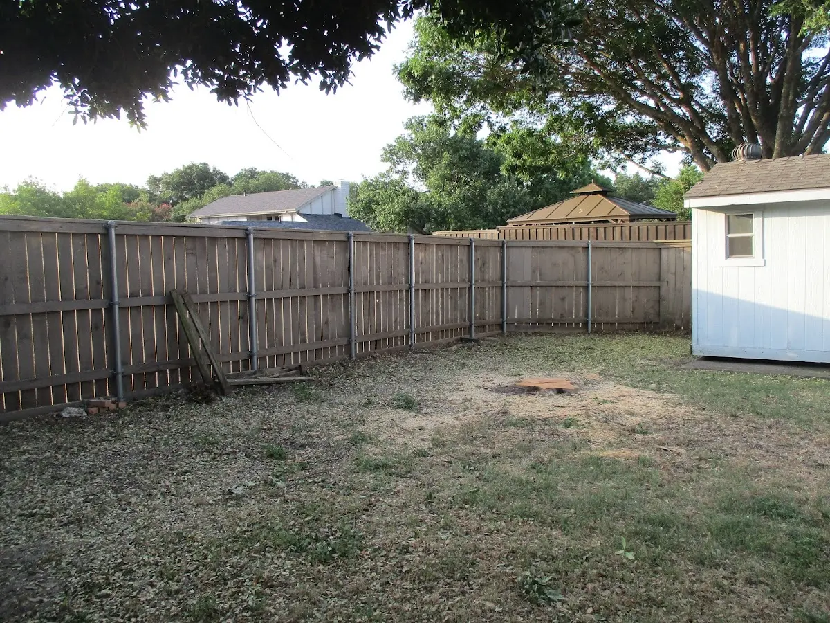 Cleared yard after professional tree removal in Pepeekeo